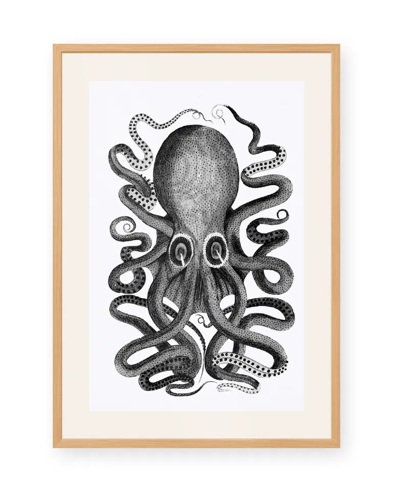 Octopus No. 08 01
