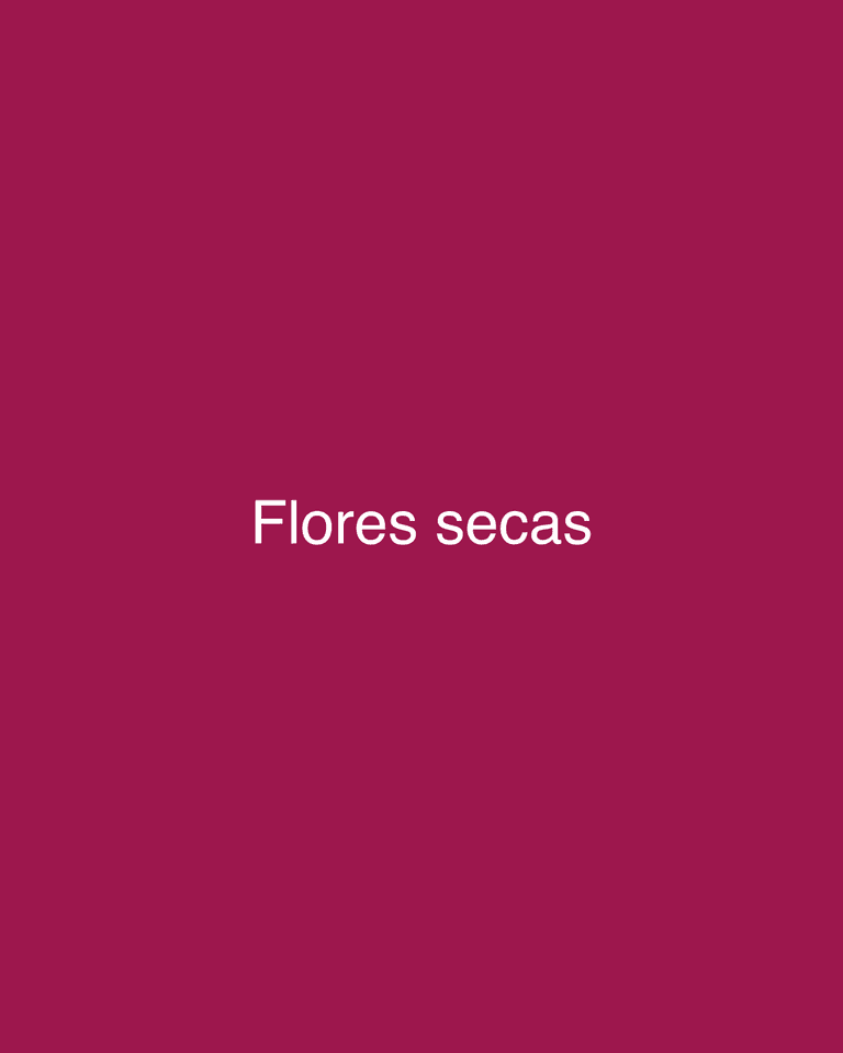 Flores secas