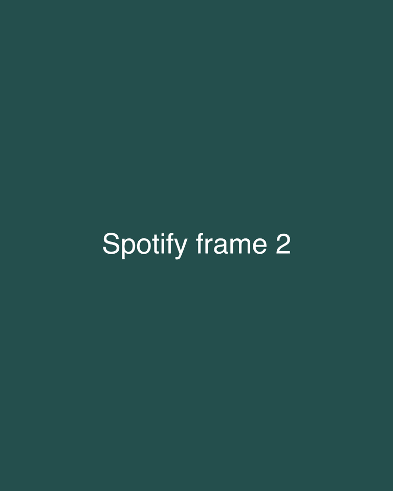Spotify frame 2
