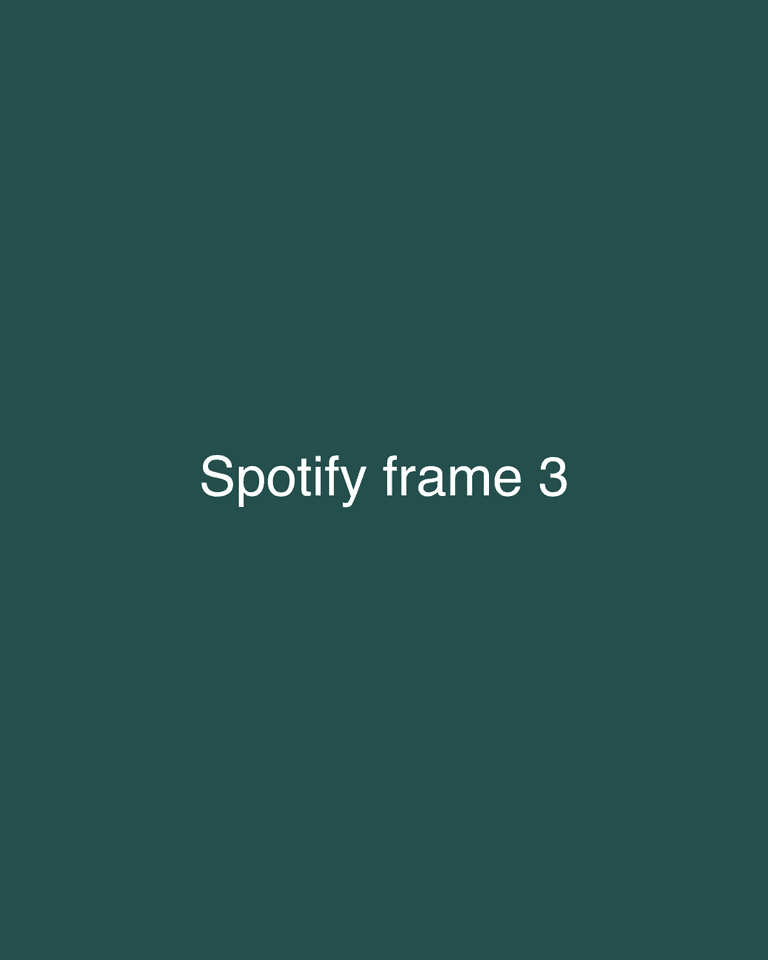 Spotify frame 3